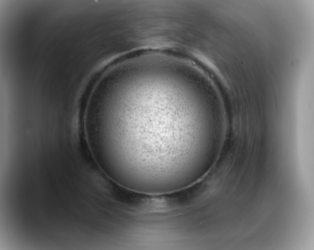 X0000088901315200706081259
