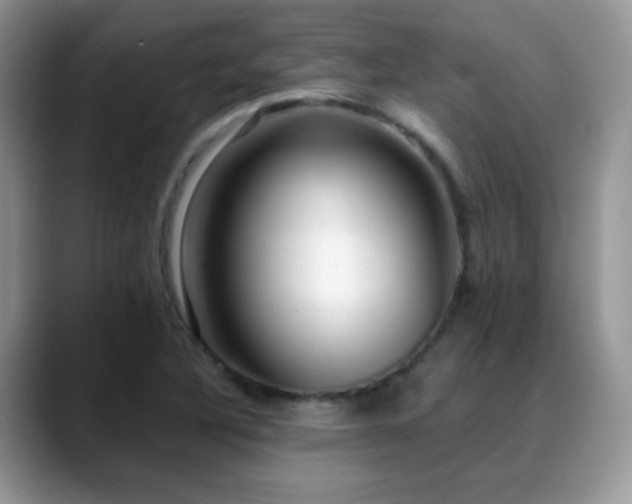 X0000088901316200706081259