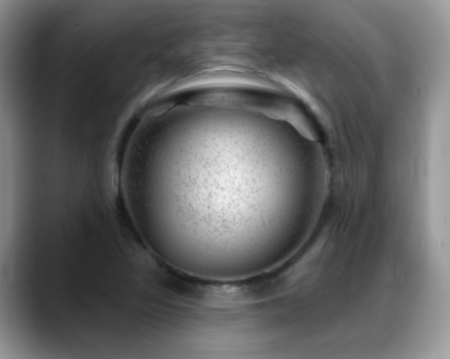 X0000088901317200706081259