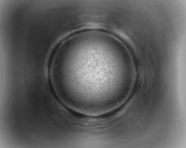 X0000088901318200706081259
