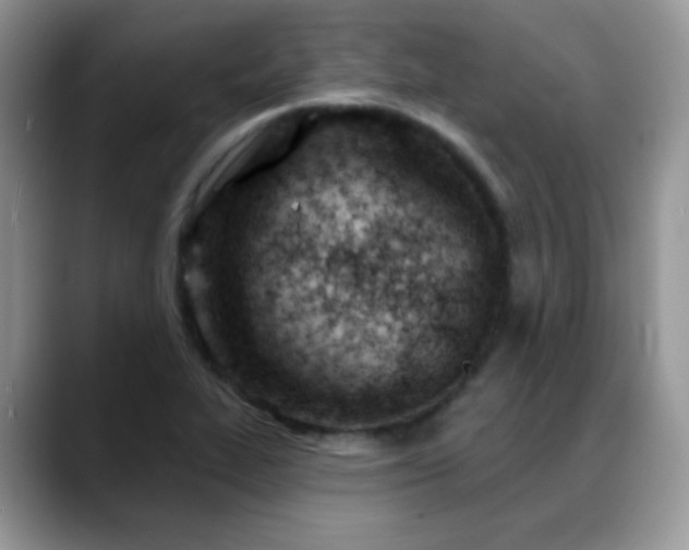 X0000088901319200706081259