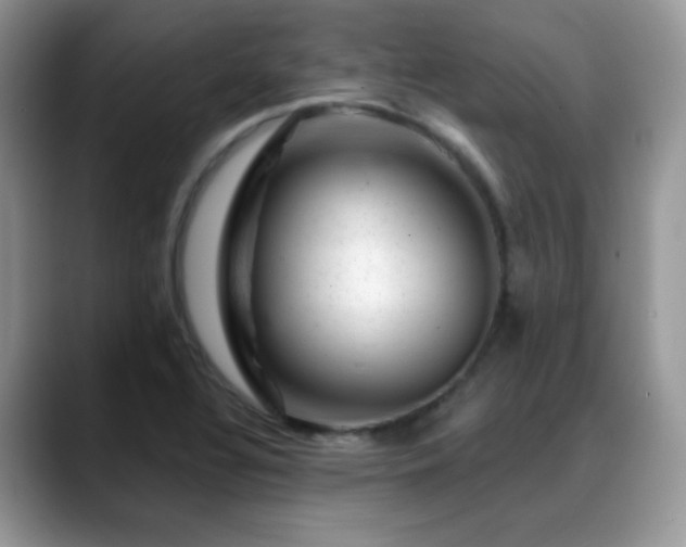 X0000088901320200706081259