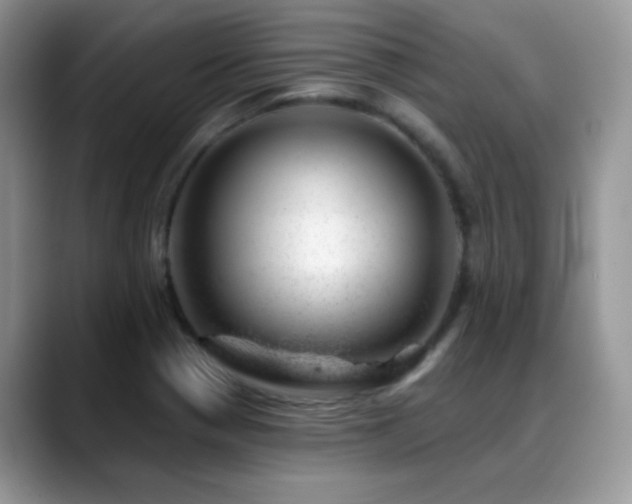 X0000088901321200706081259