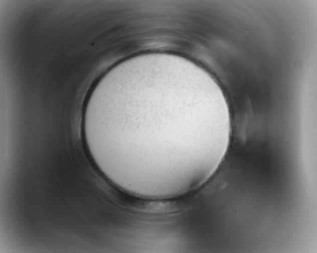 X0000088901322200706081259