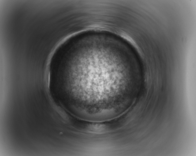 X0000088901323200706081259