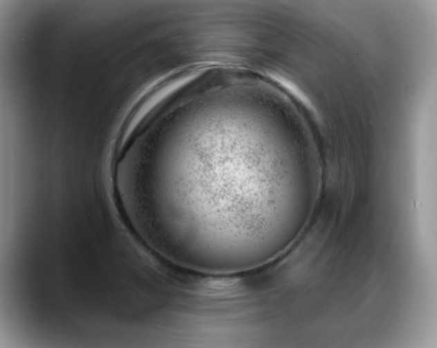 X0000088901325200706081259