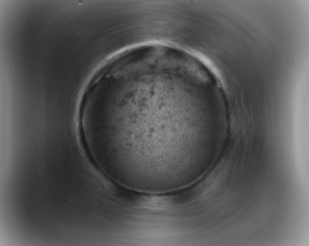 X0000088901327200706081259