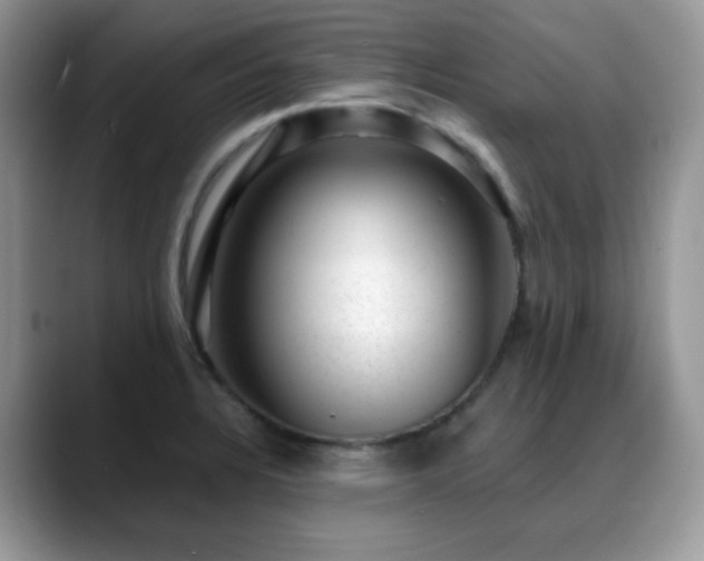 X0000088901328200706081259