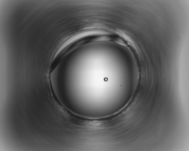 X0000088901329200706081259