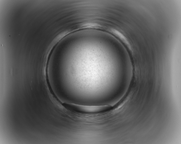X0000088901330200706081259