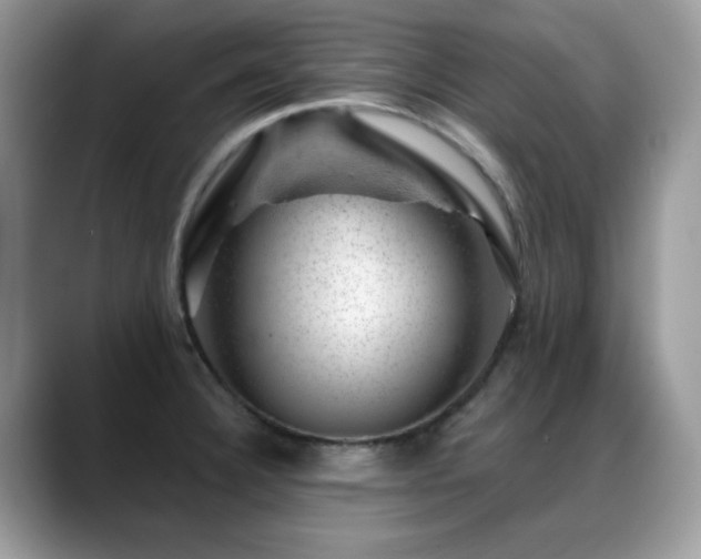 X0000088901332200706081259