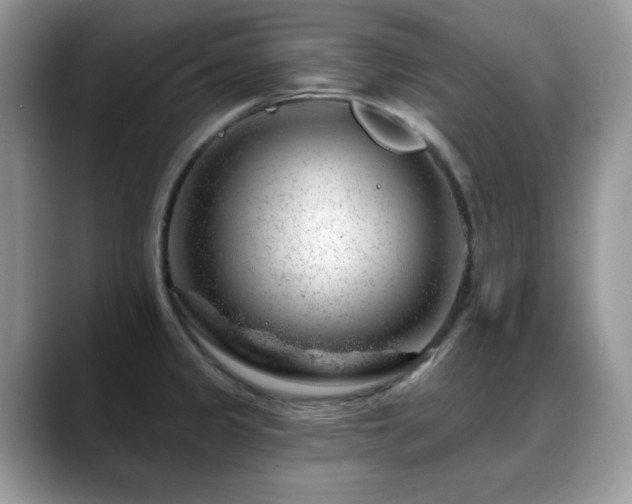 X0000088901333200706081259