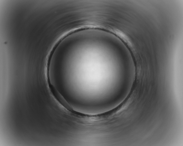 X0000088901334200706081259