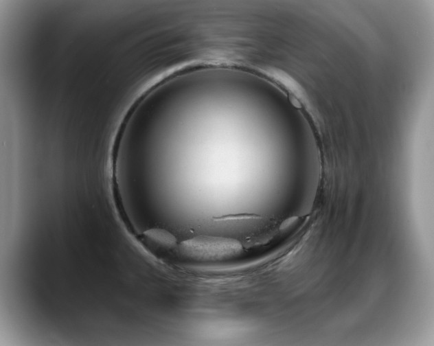 X0000088901335200706081259