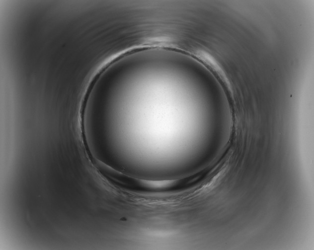 X0000088901336200706081259