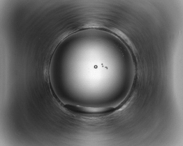 X0000088901337200706081259