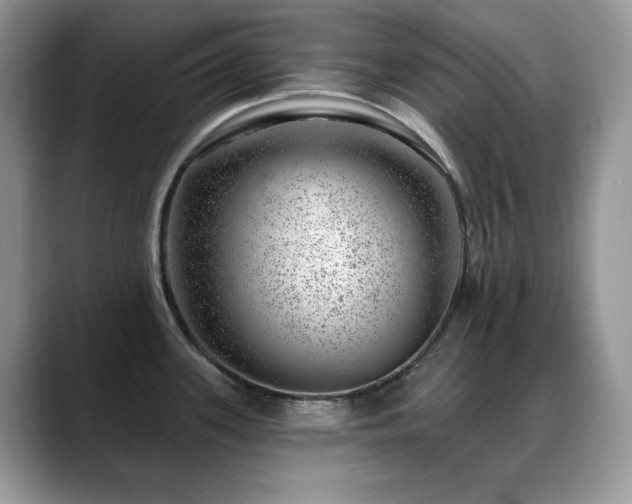 X0000088901339200706081259