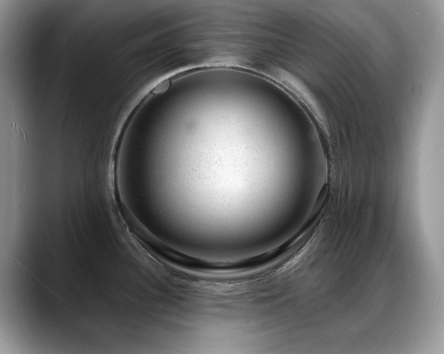X0000088901340200706081259