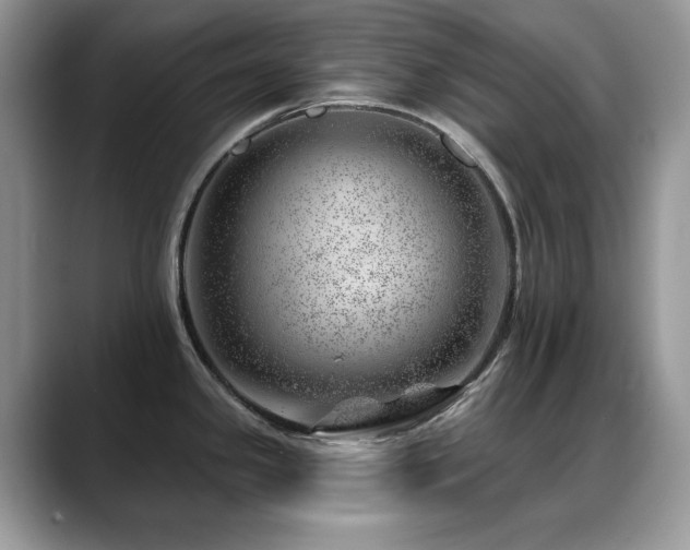 X0000088901341200706081259