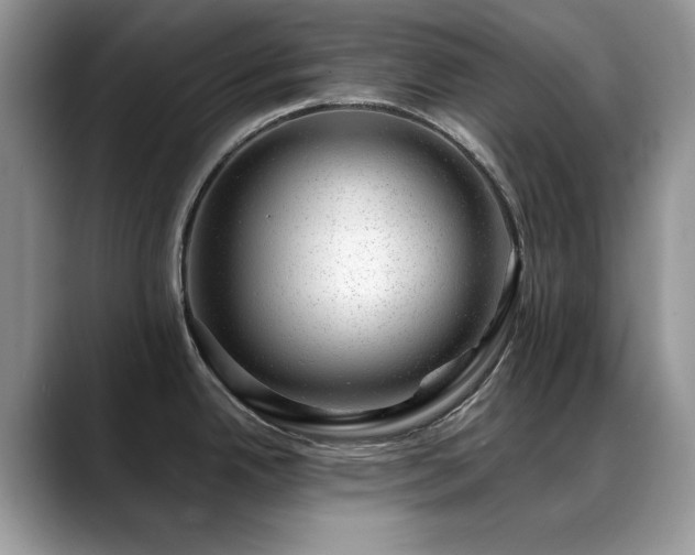 X0000088901342200706081259