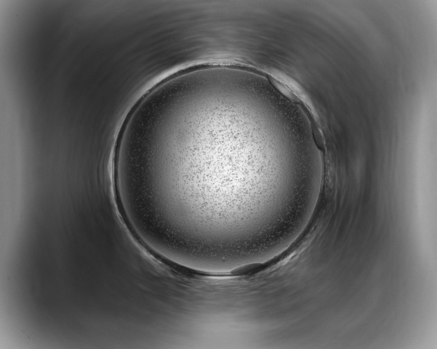X0000088901343200706081259
