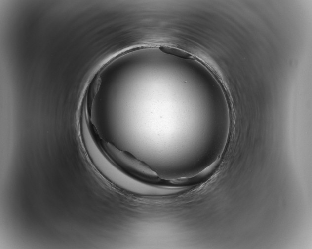 X0000088901344200706081259