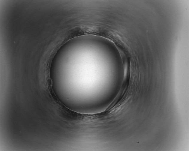 X0000088901345200706081258