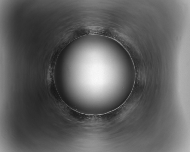 X0000088901346200706081258