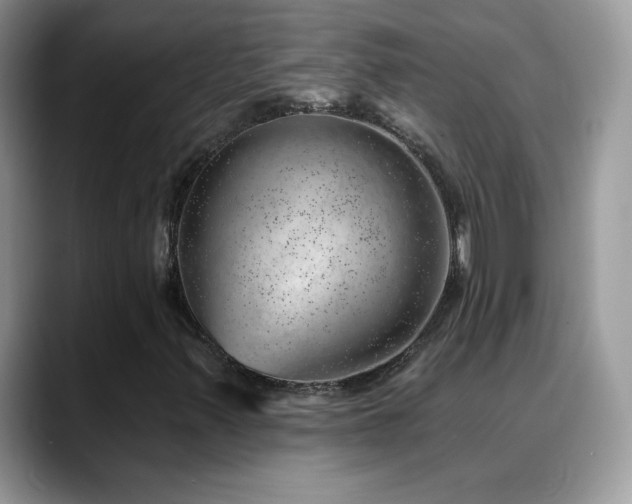 X0000088901347200706081258