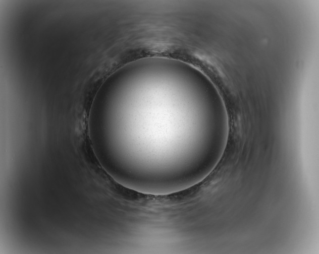 X0000088901349200706081258