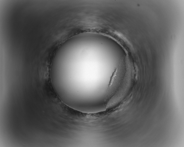 X0000088901350200706081258
