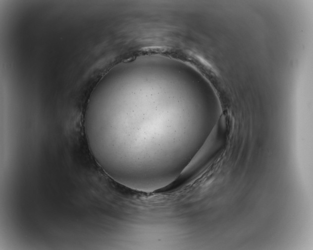 X0000088901351200706081258