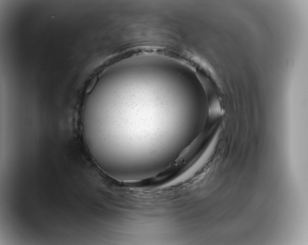 X0000088901352200706081258