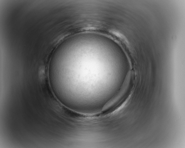 X0000088901353200706081258