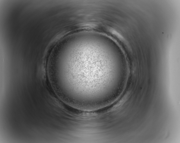 X0000088901354200706081258