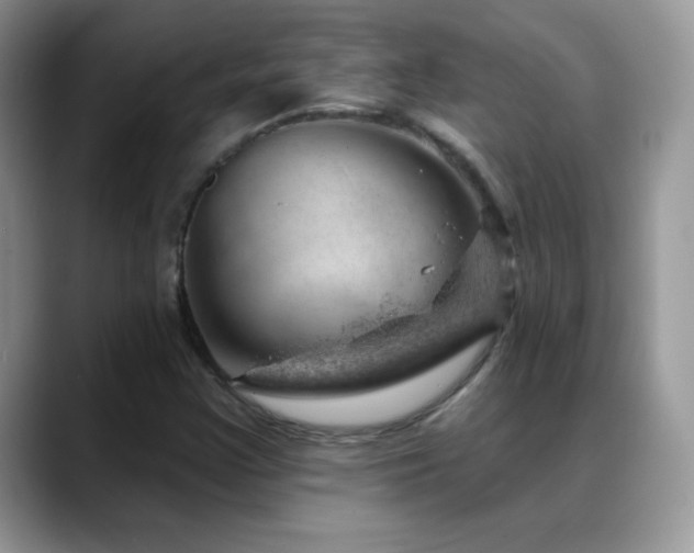 X0000088901355200706081258