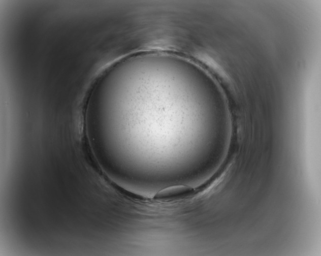 X0000088901358200706081258