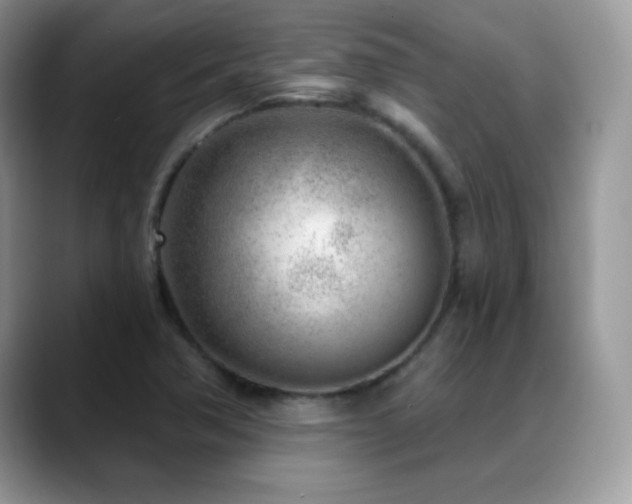 X0000088901362200706081258
