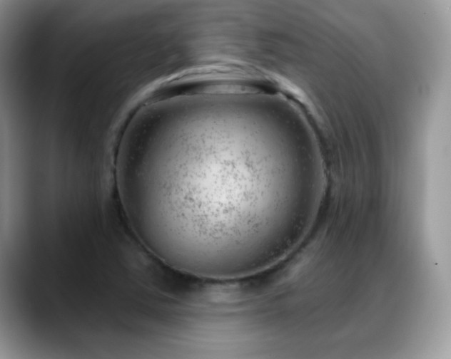X0000088901363200706081258