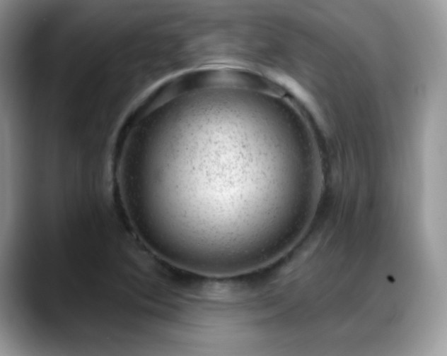 X0000088901364200706081258