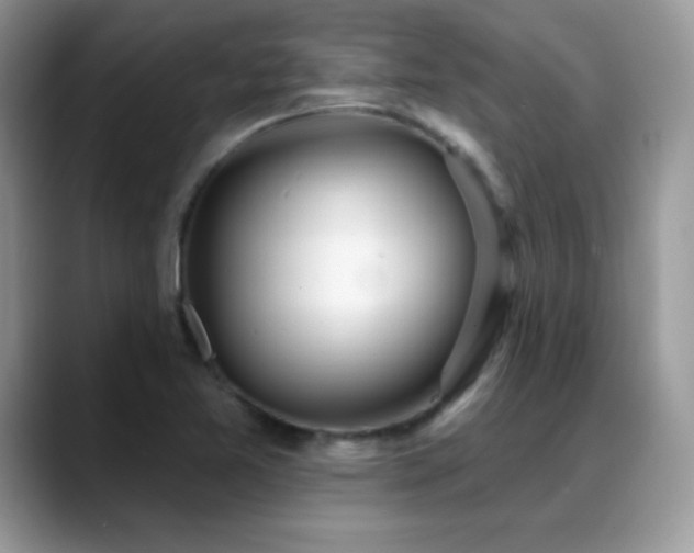 X0000088901365200706081258