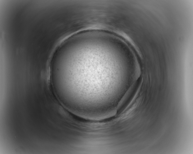 X0000088901366200706081258