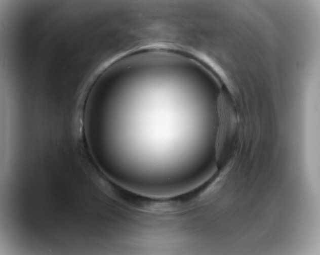 X0000088901367200706081258