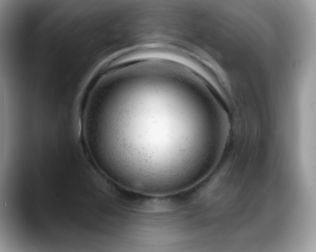 X0000088901368200706081258