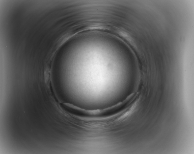 X0000088901369200706081258
