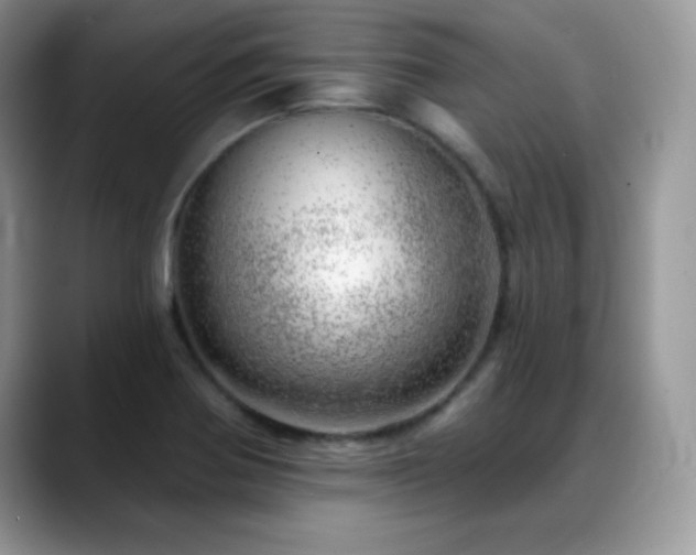 X0000088901370200706081258