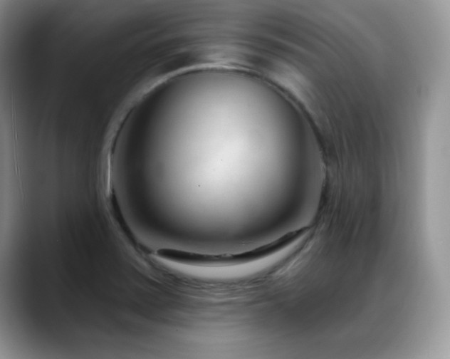 X0000088901371200706081258