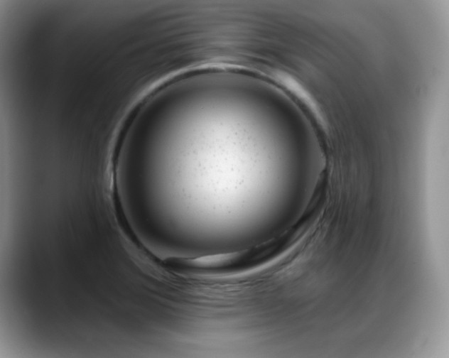 X0000088901372200706081258