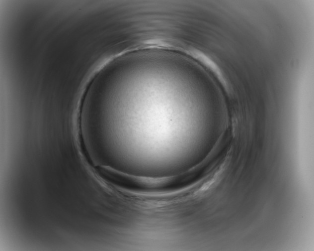 X0000088901373200706081258