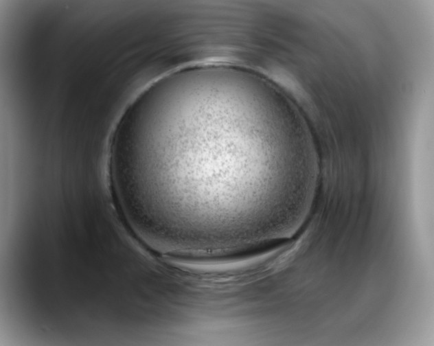 X0000088901374200706081258